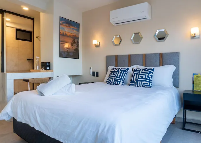 Colmena Cabos Marina