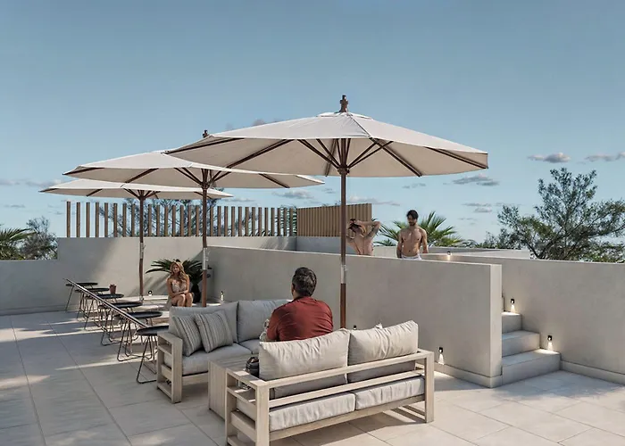 Colmena Cabos Marina Hotel