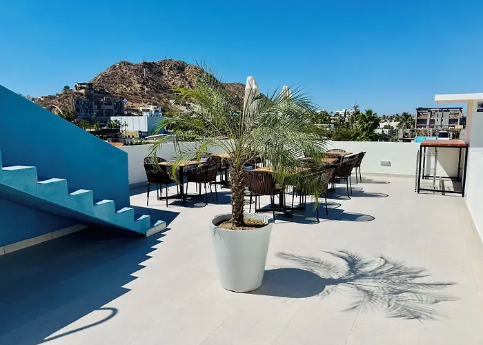 Colmena Cabos Marina Hotel