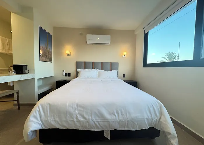 Colmena Cabos Marina Hotel Cabo San Lucas